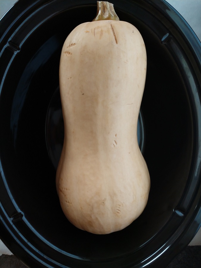crock-pot butternut squash