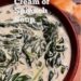 Crock Pot Cream of Spinach Soup